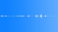 Animals stags roaring with high pitch birds stereoXY Sound Effect
