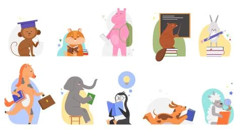 Animals study at school vector illustrations, cartoon flat cute zoo animal kid 스톡 일러스트