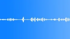Animals Various Group Vocals Chickens Geese Boars Sheep Chicken Clucks SquawksSound Effect