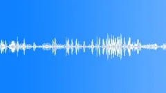 Animals Various Group Vocals Chickens Geese Boars Chicken Clucks Squawks ConstaSound Effect