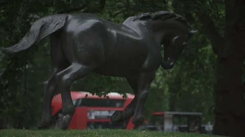 Animals In War Memorial Stock Footage 93329024