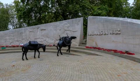 Animals in War memorial Stock Photos