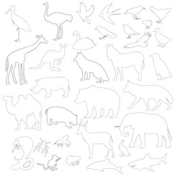 Animals on a white background Stock Illustration