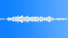 Animals Wolves Pack Calls Howls Various Groups Large Nice Yelps MoansSound Effect