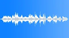 Animals Wolves Pack Calls Long Restless Howls Yelps Various Groups Mo Sound Effect