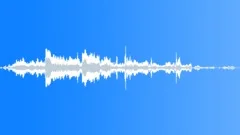 Animals Wolves Pack Calls Long Restless Howls Yelps Various Groups Mo Sound Effect
