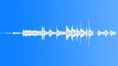 Animals Wolves Pack Calls Long Restless Howls Yelps Two Groups Whimpe Sound Effect