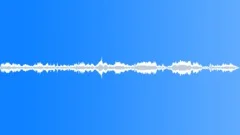 Animals Wolves Pack Large Group Howls Loud Unison Barks Early MorningSound Effect