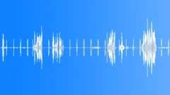 Wolf Whimper Sound Effects ~ Wolf Whimper Sounds | Pond5