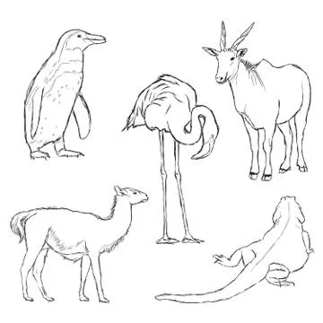 Animals in zoo - part two Stock Illustration