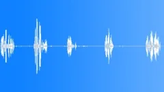 Animals_blackbird_03Sound Effect