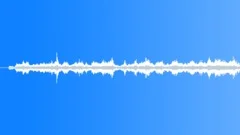 Animals_Bumble Bee_Bombus hypnorum_16Sound Effect