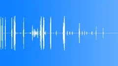 Animals_common frog_males croaking underwater_01Sound Effect