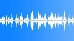 Animals_common frog_Whealtey_02Sound Effect