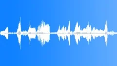 Animals_common frog_Whealtey_04Sound Effect