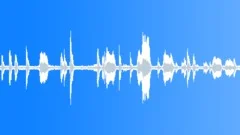 Animals_jackdaws_01Sound Effect