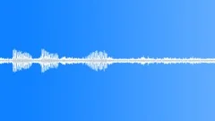 Animals_turtle dove_02 Sound Effect