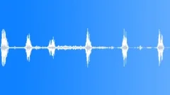 Animals_willow warbler_01Sound Effect