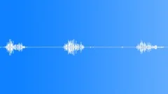 Animals_willow warbler_02Sound Effect