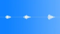 Animals_willow warbler_03Sound Effect