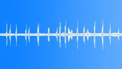 Animals_willow warbler_04Sound Effect