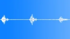 Animals_willow warbler_06Sound Effect