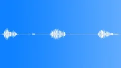 Animals_willow warbler_singing_01Sound Effect