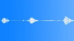 Animals_willow warbler_singing_02Sound Effect