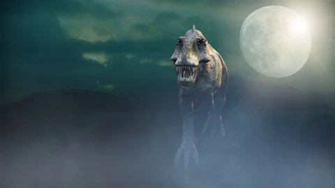 animate a running dinosaur Tyrannosaurus, Stock Video