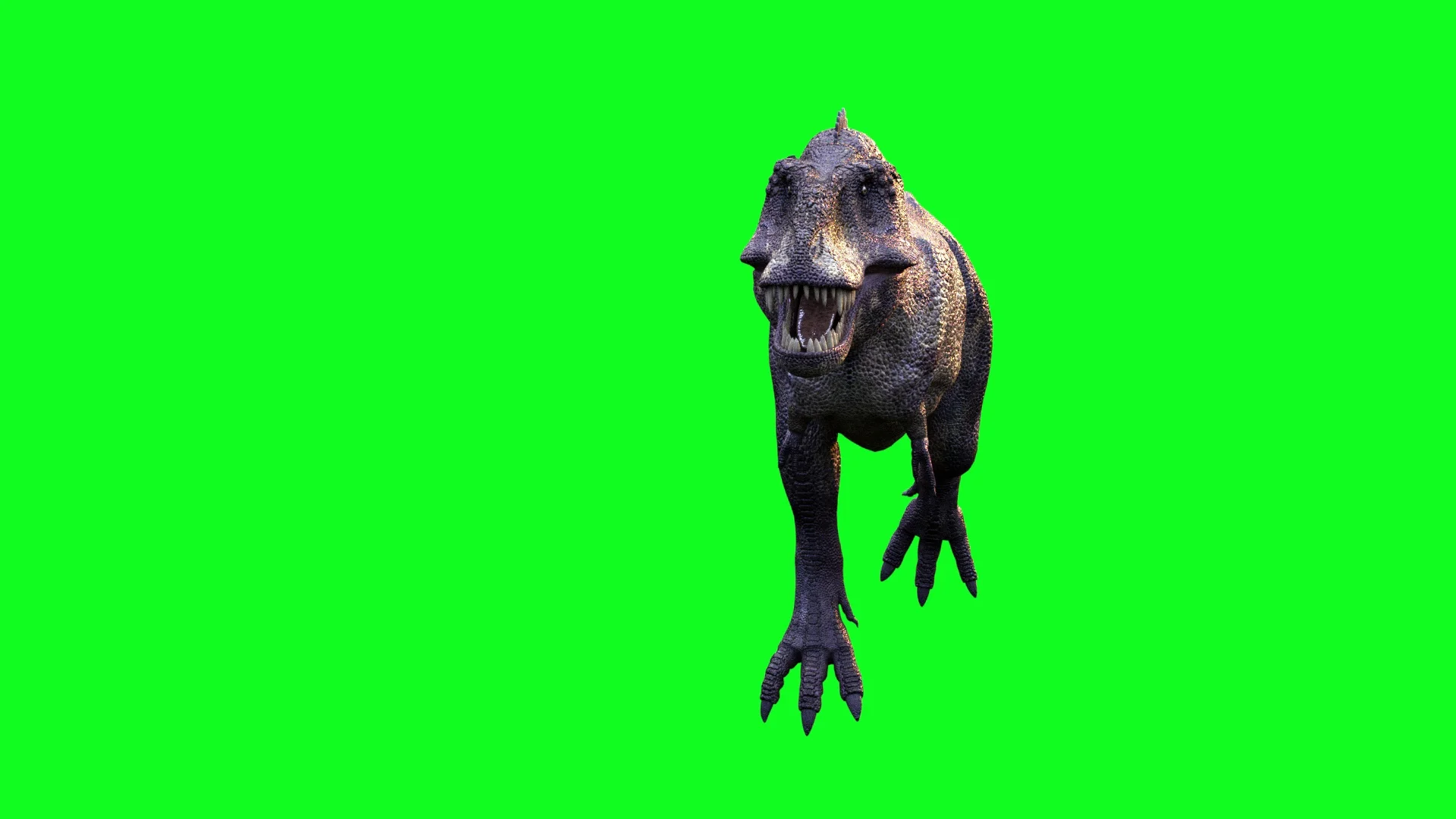 T-Rex dinosaur running. 3D illustration. - Stock Illustration
