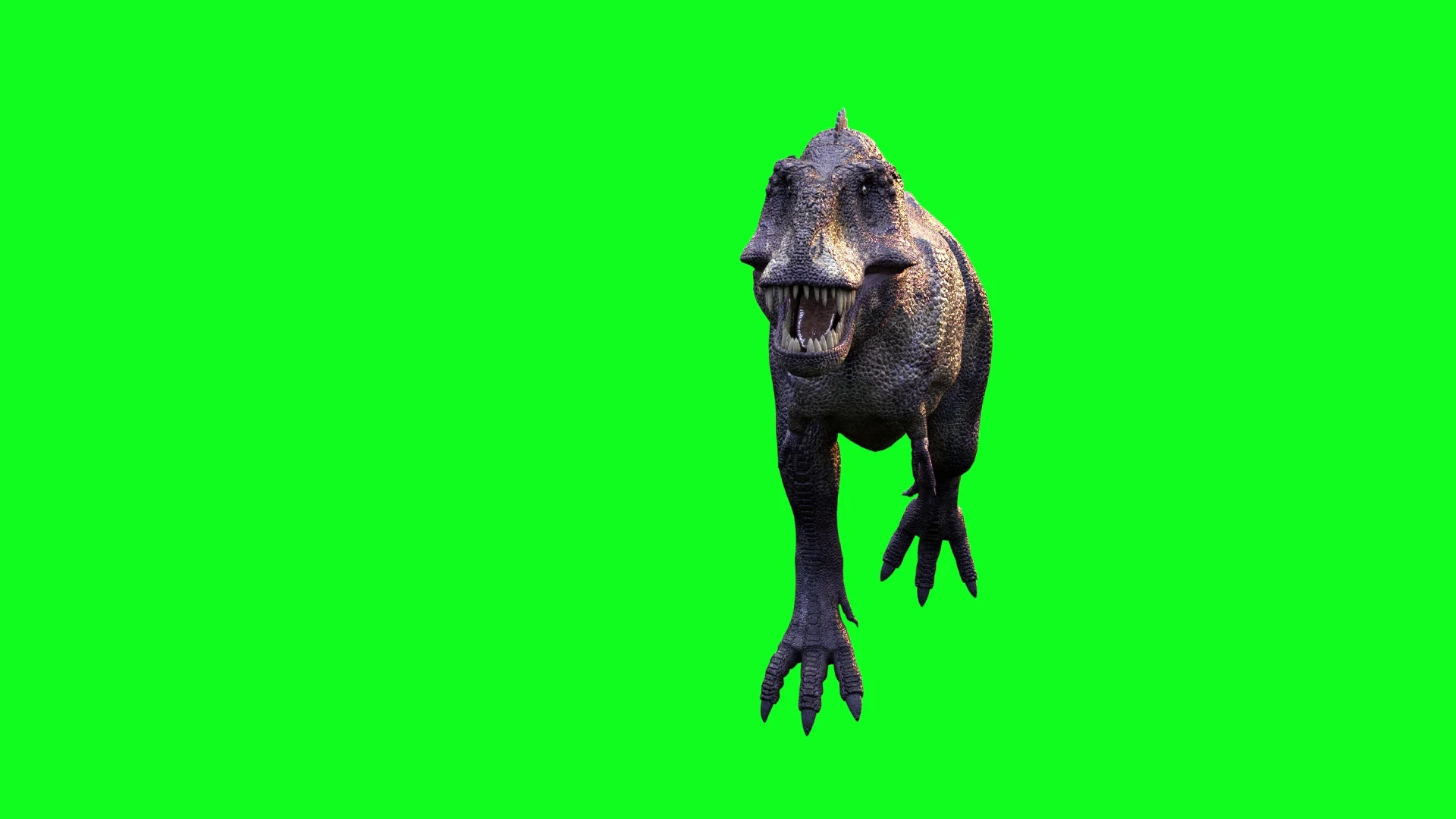 T Rex Blue screen animation walk run Dinosaur CGI animated 3D Studio Max  chroma key after effects 