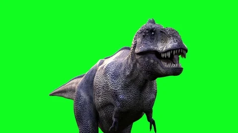 Animate Running Dinosaur Tyrannosaurus Rex Render Dark Background Stock  Video Footage by ©DenisSmile #199540226