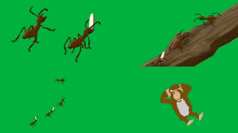 Animated 2d character deer fox squirrel and tree branch on green screen. Stock Footage 310121630