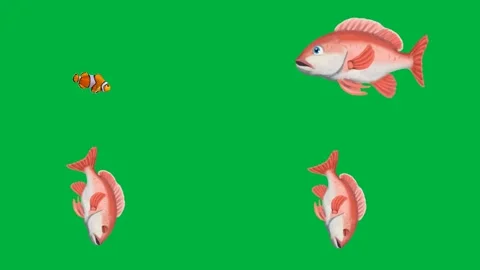 Animated 2d character fish fish shrimp shrimp on green screen chroma key. Stock Footage 310121867
