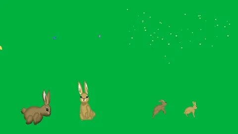 Animated 2d character rabbit rabbit butterfly flower on green screen. Stock Footage 310121869
