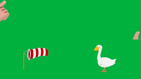 Animated 2D character scene with a windsock and goose on green screen. Stock Footage 310122602
