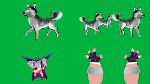 Animated 2d character three husky dogs and two girls on green screen. Stock Footage 310121433