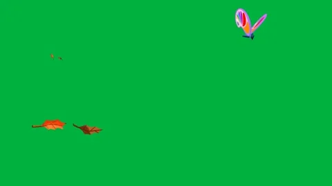 Animated 2d character two fish heart balloon and bird on green screen. Stock Footage 310123062