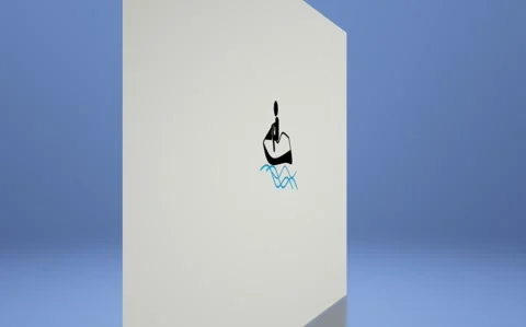 Animated 2D graphic of a person riding a personal watercraft with stylized waves Stock Footage 341772553
