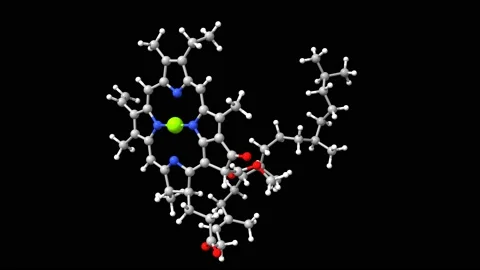 Animated 3D ball-and-stick model of the pigment chlorophyll a Stock Footage 161097271