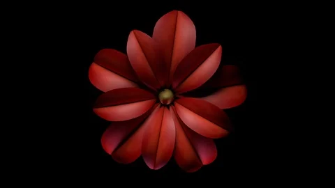 Animated 3D Beautiful render of a flower opens and closes. Video stock 123181089