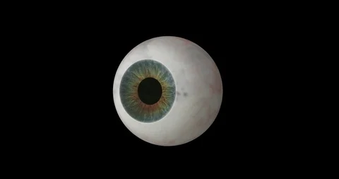 Animated 3D Eyeball against a black backgound - 4K Stock Footage