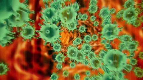 Animated 3d model of coronavirus 2019-nCoV pathogen cells inside infected Stock Footage 147728641