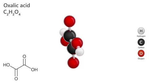 Animated 3d model of oxalic acid molecule C2H2O4. Stock Footage 284816919