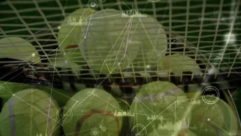 Animated 3D render showing cluster of green tennis balls aligning with network Stock Footage 307458600
