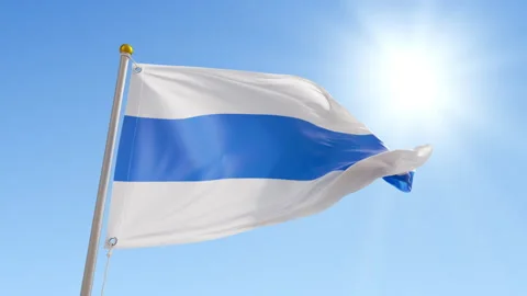 Animated 3d white-blue-white flag waving over the clear blue sky Stock Footage 172382988
