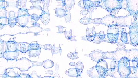 Animated Abstract Blue on a white background 库存影片 129289065