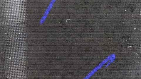 Animated Abstract Mesh for Stylish Openings Video stock 305386980