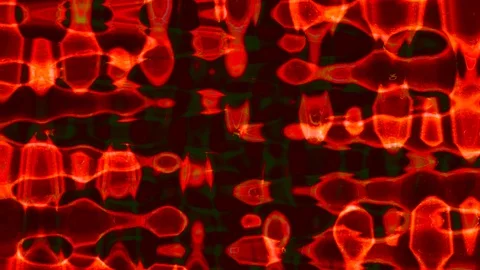 Animated Abstract Orange Stock Footage 129289369