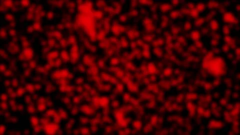 Animated abstract red background. Space background. Stock Footage 147871020